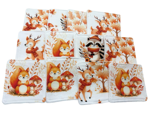 Lot de 5 lingettes lavables animaux